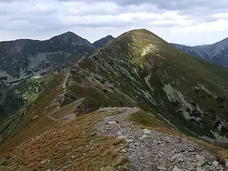 Smrek in der Mitte, im Hintergrund der Gebirgsstock Roháče