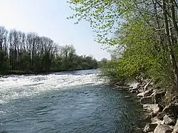 Sohlschwelle in der Ybbs bei Amstetten, Greimpersdorf