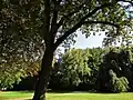 Parkansicht