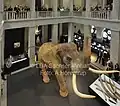 Sonderausstellung Elefantenreich