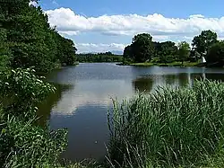 Sonderhamer Weiher am Oberlauf des Lüßbachs, im Hintergrund die Benediktenwand