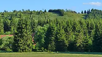 Nordseite des Großen Sonnenberges