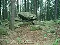 Der Frühlingsstein auf dem Frühlingsberg bei Sohland