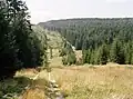 Grenzverlauf in der Nähe von Sorge und Hohegeiß im Harz