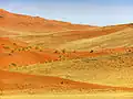 Dünen am Sossusvlei