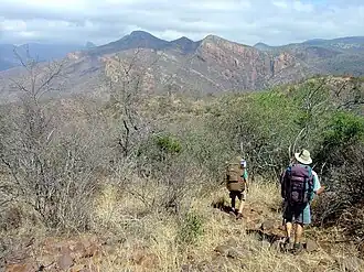 Wanderer im Soutpansberg