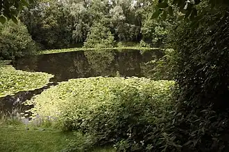 Minenkrater von 1917 bei Spanbroekmolen