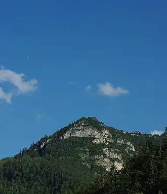 Spechtenköpfe