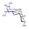 Spectinomycin (blau: Actinamin-Struktur)