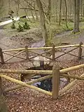Ein seltener Anblick: Der Spittelbrunnen, ein Hungerbrunnen im Mühlhäuser Stadtwald, führt Wasser