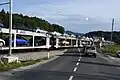 Ganzzug bei Spodnja Brežnica, Slowenien (2019)