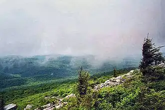 westseitiger Gipfelhang