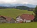 Mösten