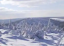 Der Stürmer im Winter