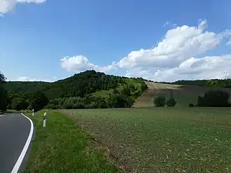Der Stürzlieder Berg aus Richtung Bornhagen gesehen
