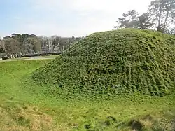 Motte