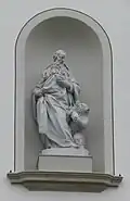 Gallus