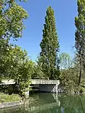Brücke zur St. Petersinsel bei Erlach