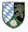Internes Verbandsabzeichen