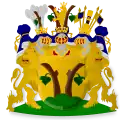 Wappen derer von Stackelberg (1763)