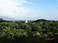 Pyramiden im Dschungel