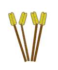 Zweipaarig (didymous)