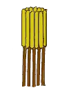 Synantherische Staubblätter