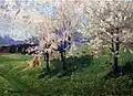 Obstbaumblüte