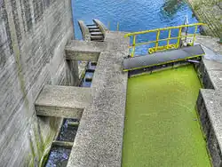 „Fischtreppe“ an der Staustufe