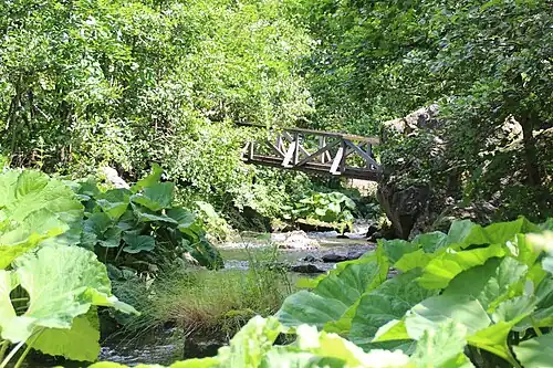 … im Sommer