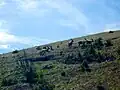 Steinböcke am Wanderweg zum Montalin