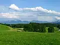 Tal des Steinbachs südlich von Untersiffelhofen. Links im Hintergrund die Benediktenwand
