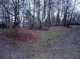 Steinbachsberg