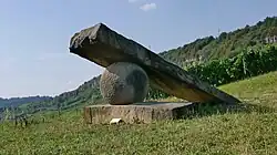 Knie mit Gelenk