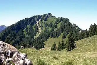 Steineberg von leicht unterhalb des Bärenkopfs (1476 m) aus gesehen