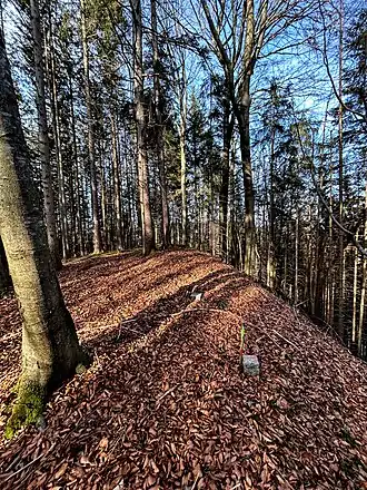 Steinköpfel