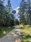 Oberpfalzturm auf dem Gipfel der Platte im Steinwald