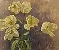 Flowers, um 1935