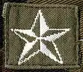 Aufgenähter Aktivitätsstern für die Felduniform Modell 1992.