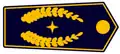 stellvertretender Kreisbrandmeister