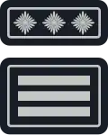 stv. Kreisfeuerwehrinspekteur/-in