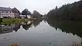 Teich