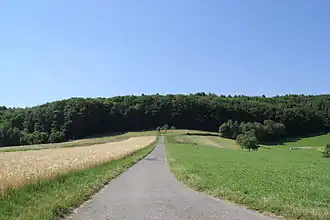 Die Stempelhöhe (von oberhalb von Hohl gesehen)
