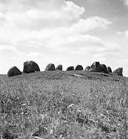 Der Stenadans
