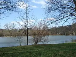 Sterzenbachweiher
