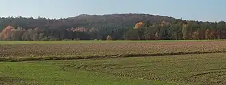 Stiefenberg
