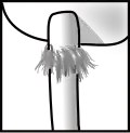 Haarschleierförmig