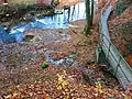 Mündung im November