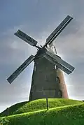 Stommeln