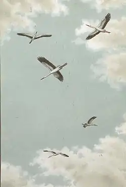 farbige Zeichnung mit fünf fliegenden Weißstörchen vor einem leicht bewölkten Himmel
